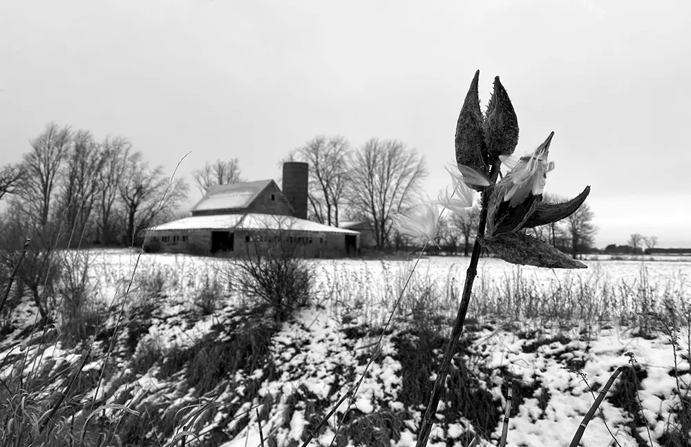 Black and White